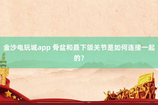 金沙電玩城app 骨盆和聶下頜關節是如何連接一起的？