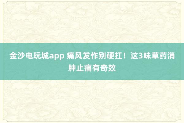 金沙電玩城app 痛風(fēng)發(fā)作別硬扛！這3味草藥消腫止痛有奇效