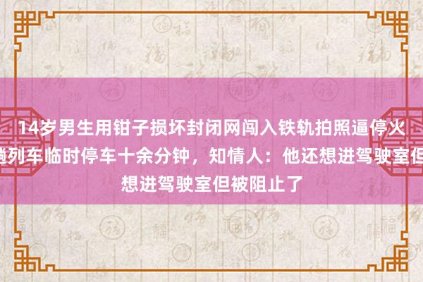 14歲男生用鉗子損壞封閉網闖入鐵軌拍照逼停火車，致3趟列車臨時停車十余分鐘，知情人：他還想進駕駛室但被阻止了