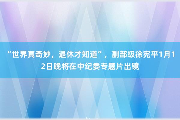 “世界真奇妙，退休才知道”，副部級徐憲平1月12日晚將在中紀委專題片出鏡