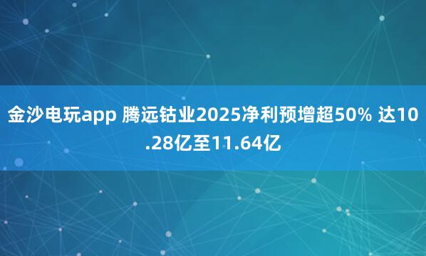 金沙電玩app 騰遠(yuǎn)鈷業(yè)2025凈利預(yù)增超50% 達(dá)10.28億至11.64億