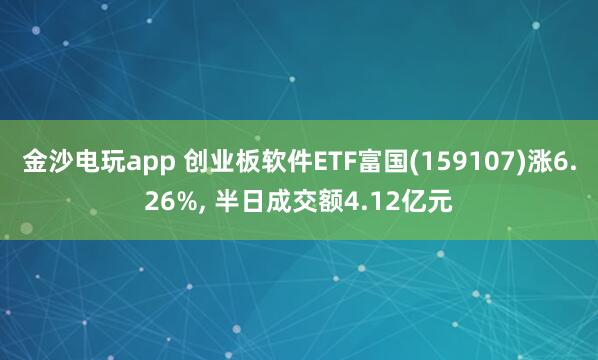 金沙電玩app 創(chuàng)業(yè)板軟件ETF富國(guó)(159107)漲6.26%, 半日成交額4.12億元